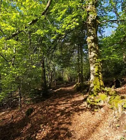 Des 3 Jonquilles Hébergement de vacances Saint-Maurice-sur-Moselle