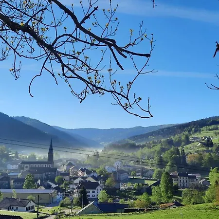 Des 3 Jonquilles * Saint-Maurice-sur-Moselle