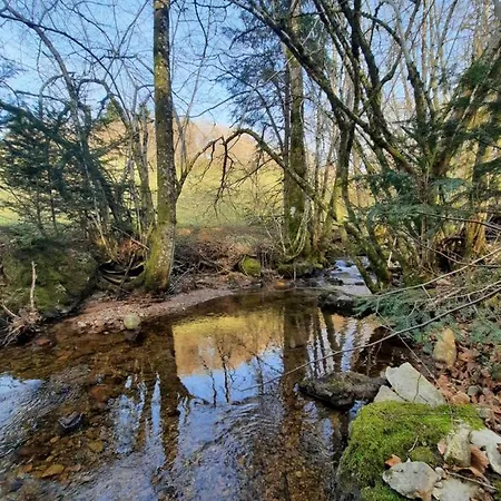 Des 3 Jonquilles Saint-Maurice-sur-Moselle
