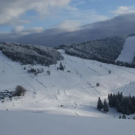 Des 3 Jonquilles Saint-Maurice-sur-Moselle