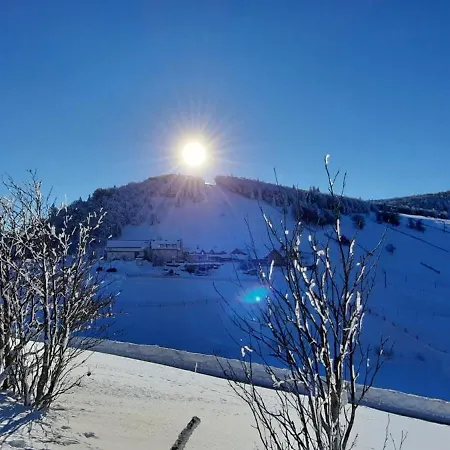 Hébergement de vacances Des 3 Jonquilles *