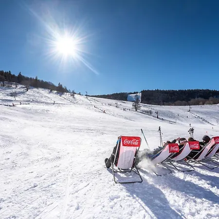 Des 3 Jonquilles Saint-Maurice-sur-Moselle