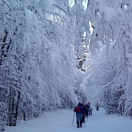 Des 3 Jonquilles * Saint-Maurice-sur-Moselle