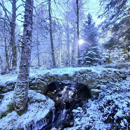 Hébergement de vacances Des 3 Jonquilles Saint-Maurice-sur-Moselle