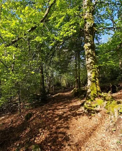 Des 3 Jonquilles Vakantiehuis Saint-Maurice-sur-Moselle