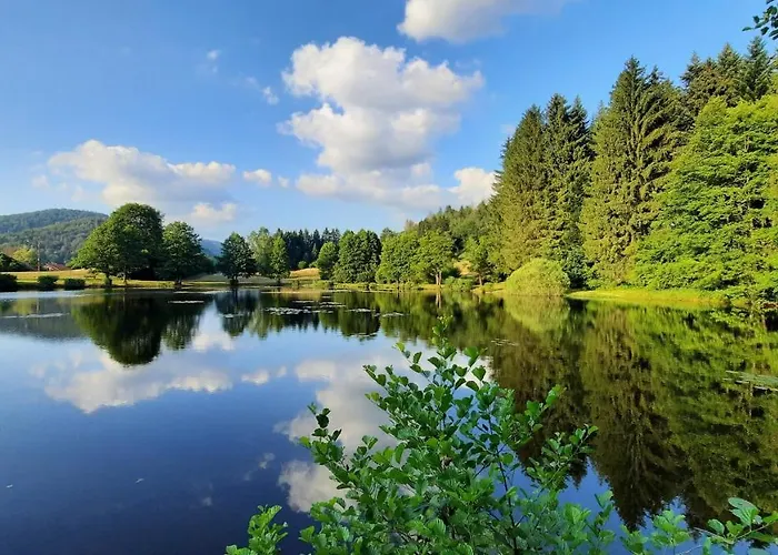 Vakantiehuis Des 3 Jonquilles