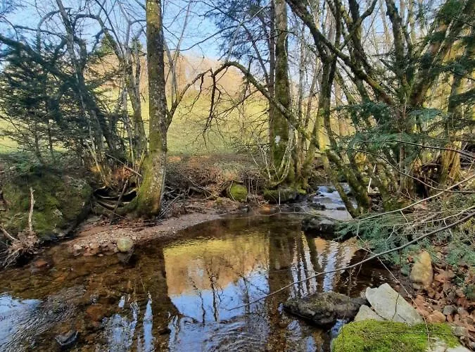 Des 3 Jonquilles Saint-Maurice-sur-Moselle