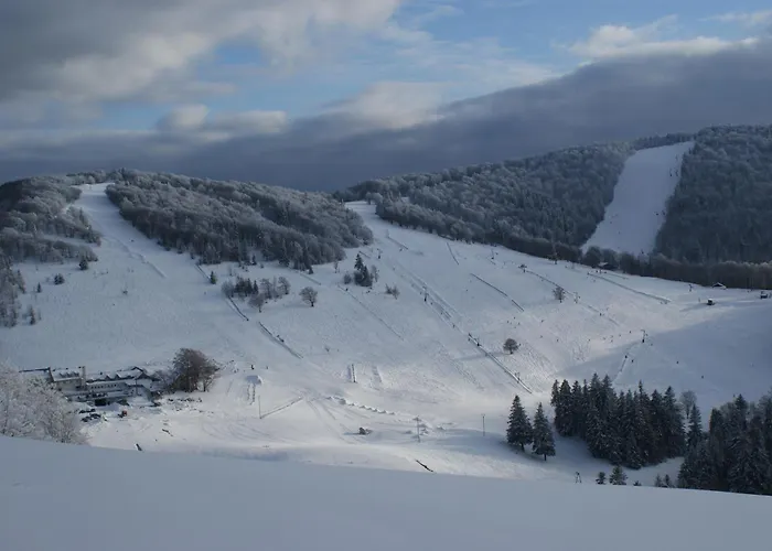 Des 3 Jonquilles Saint-Maurice-sur-Moselle