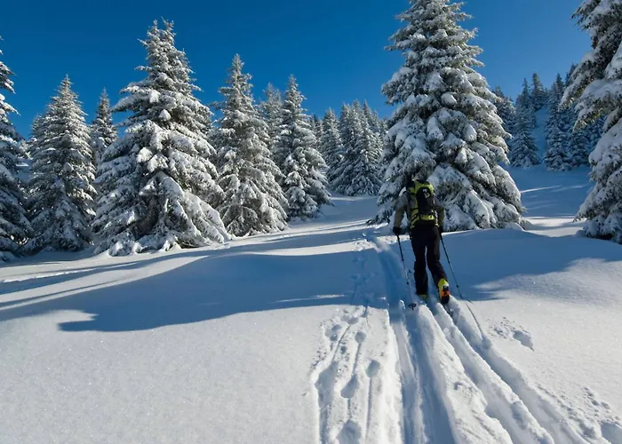 Casa vacanze Des 3 Jonquilles *
