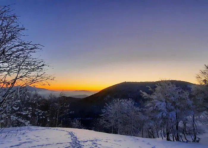 Vakantiehuis Des 3 Jonquilles