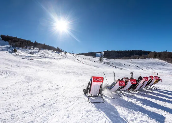 Des 3 Jonquilles Saint-Maurice-sur-Moselle