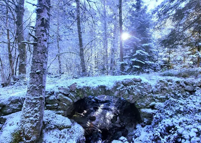 Casa vacanze Des 3 Jonquilles Saint-Maurice-sur-Moselle